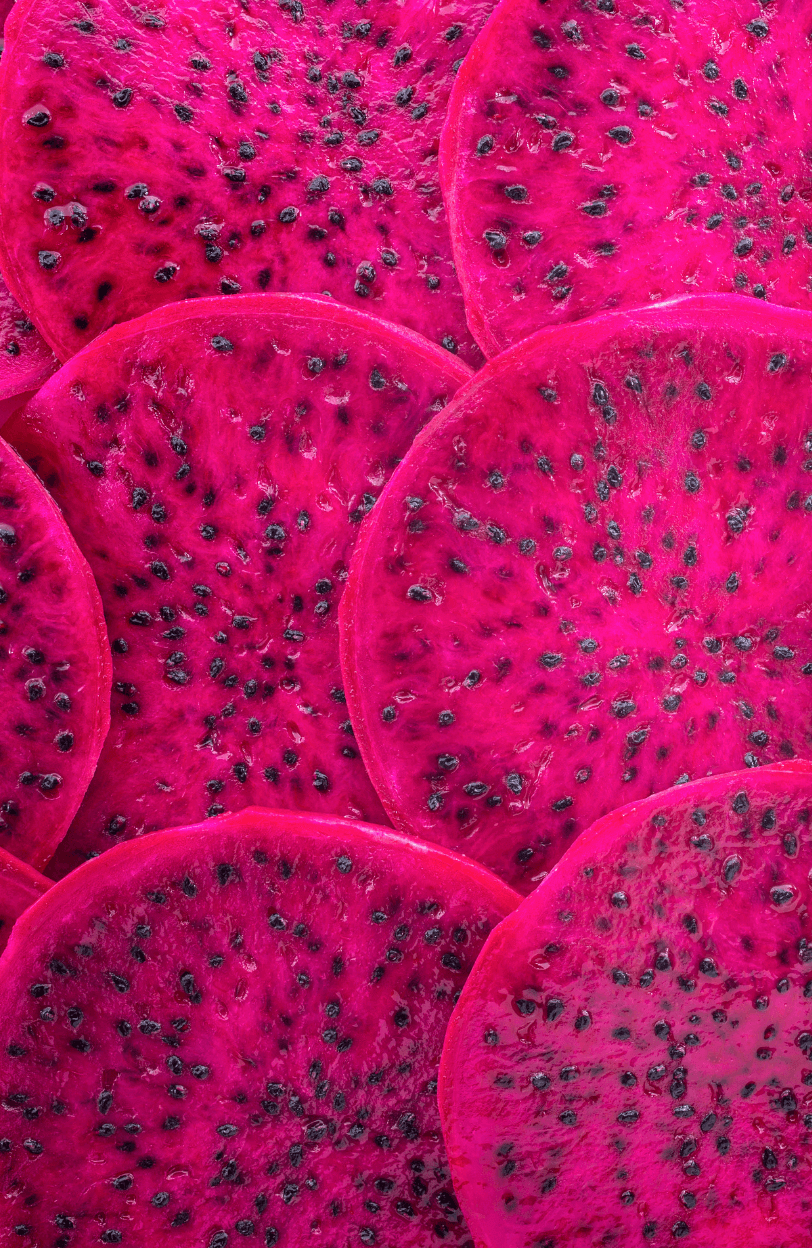 Explore a Variety of Red Dragon Fruit Seeds | Grow Your Own Exotic Pitaya