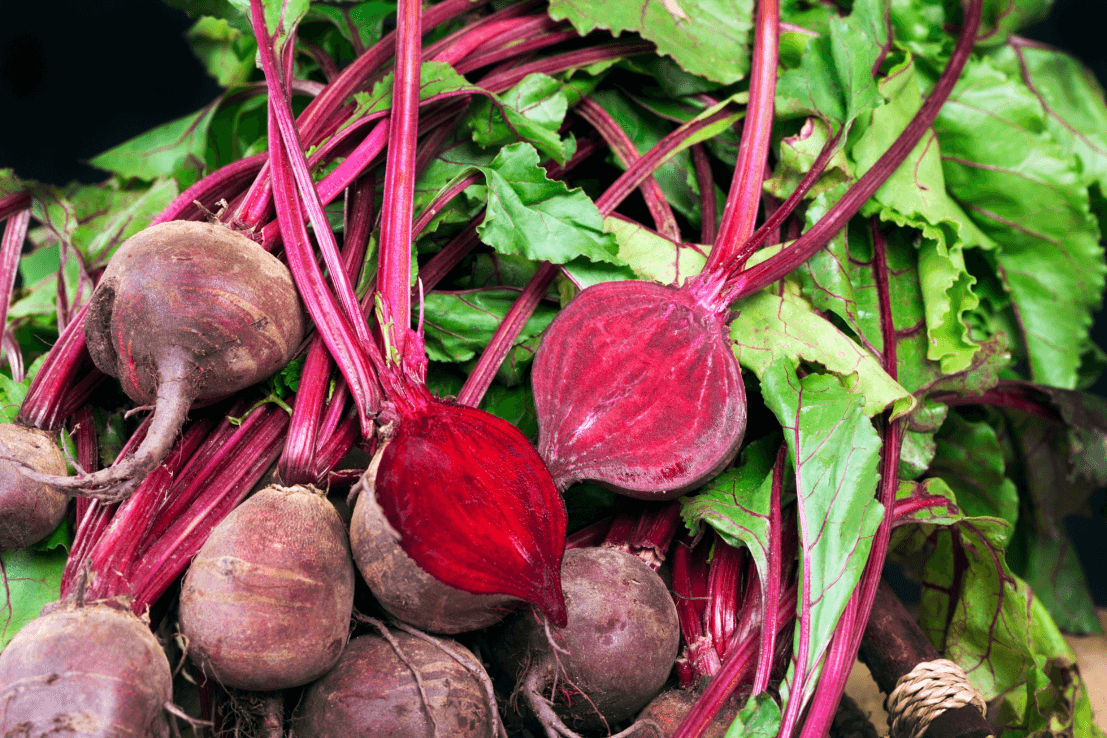 Premium Cardeal Beetroot Seeds | Buy High-Quality Seeds Online
