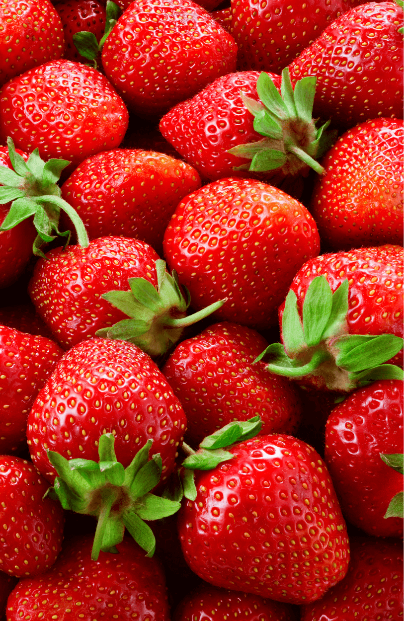 Explore a Variety of Red Strawberry Seeds | Perfect for Your Garden