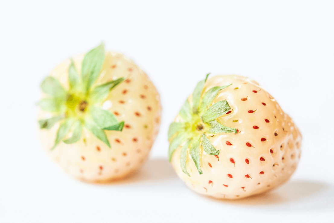 Buy White Strawberry Seeds Online | Grow Your Own Unique Berries 