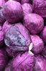 Load image into Gallery viewer, Premium Red Cabbage Seeds | Buy High-Quality Seeds Online 