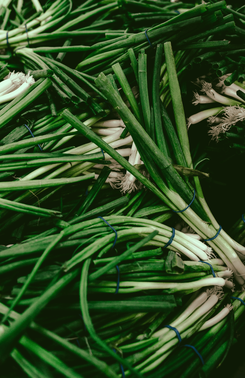 Premium Green Onion Seeds - Start a culinary journey with these high-quality seeds