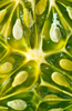 Load image into Gallery viewer, Buy Kiwano Fruit Seeds: Grow Exotic Delicacy in Your Garden