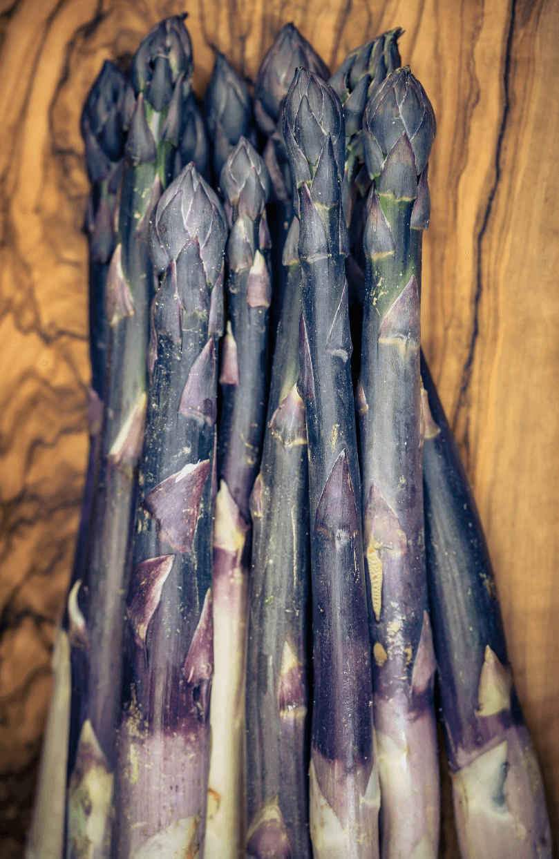 Buy Pacific Purple Asparagus Seeds Online - Cultivate Flavorful and Vibrant Asparagus in Your Garden