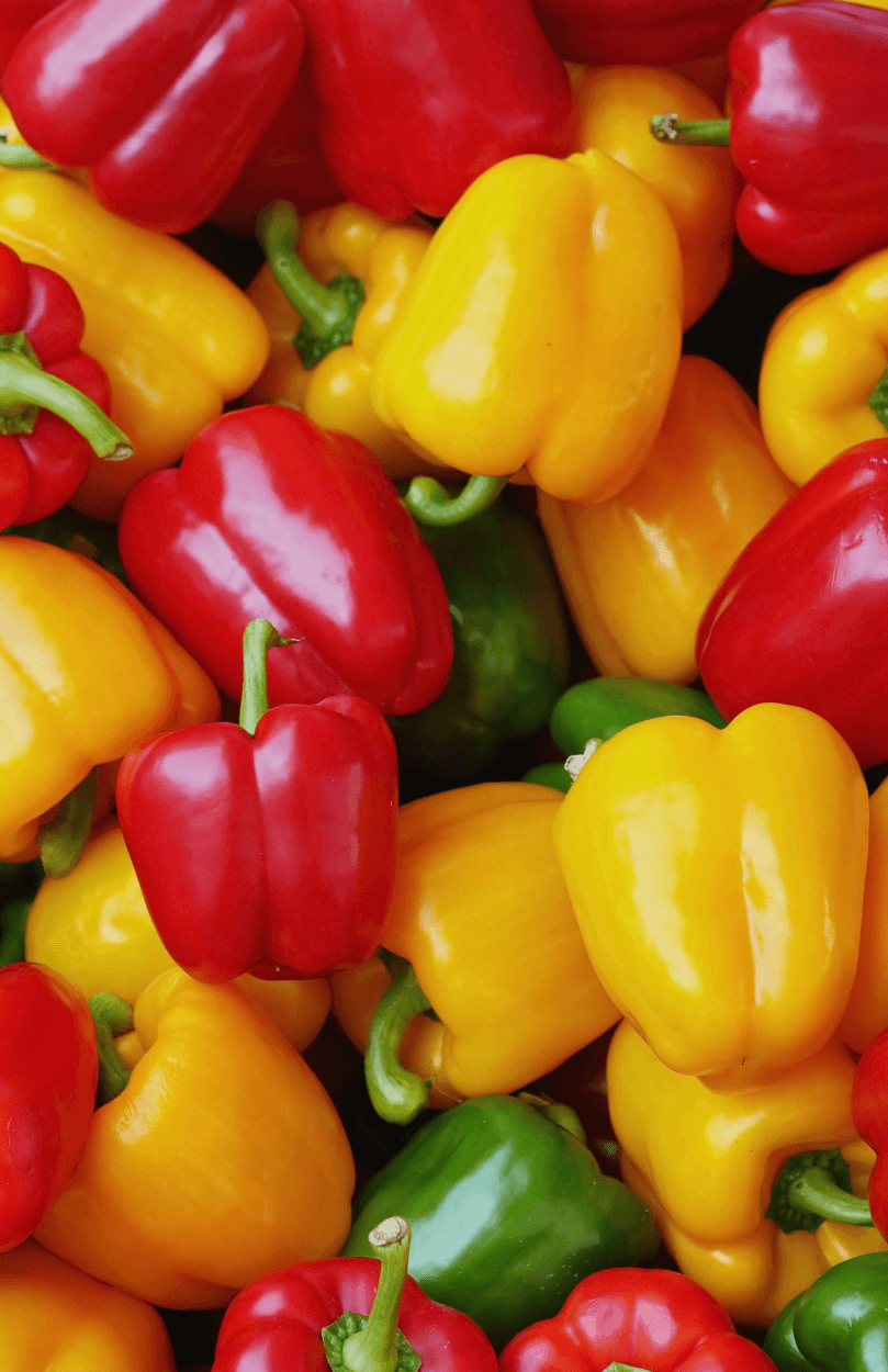 Buy Mixed Sweet Bell Pepper: Colorful Capsicums for Flavorful Delights