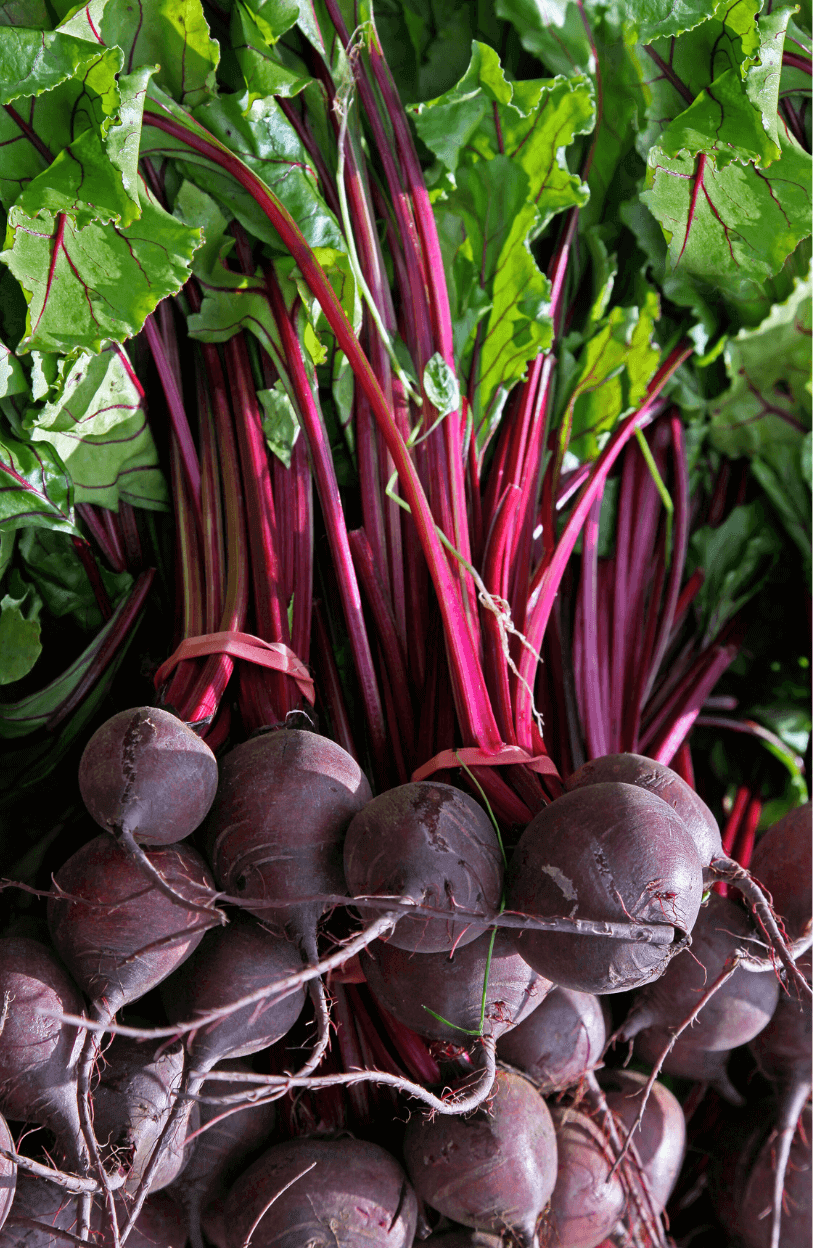 Premium Boltardy Beetroot Seeds for Sale 