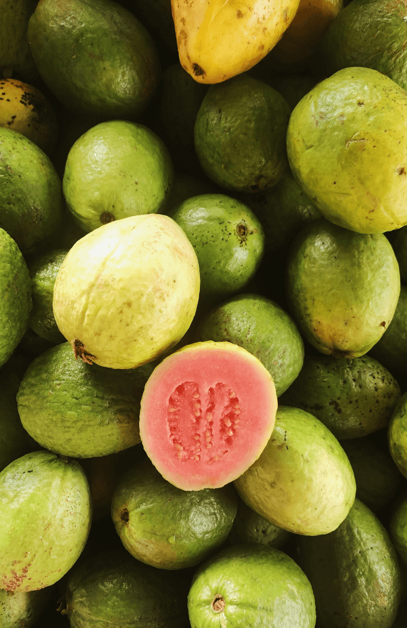 Premium Guava Seeds | Psidium Guajava Seeds for Sale