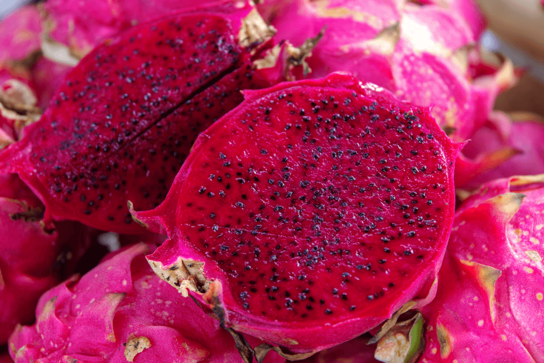 Start Your Garden with Red Dragon Fruit Seeds | Cultivate Vibrant and Flavorful Pitaya