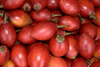 Shop for Top-Quality Tree Tomato Fruit Seeds | Tamarillo Varieties Available 