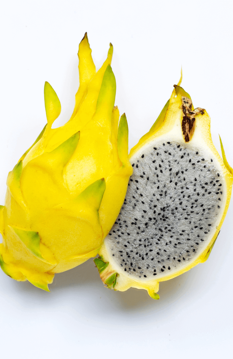 Start Your Garden with Yellow Dragon Fruit Seeds | Cultivate Exotic and Flavorful Pitaya Dragonfruit