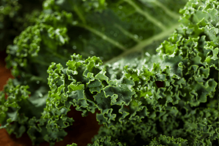Cultivate health with Green Kale Seeds!