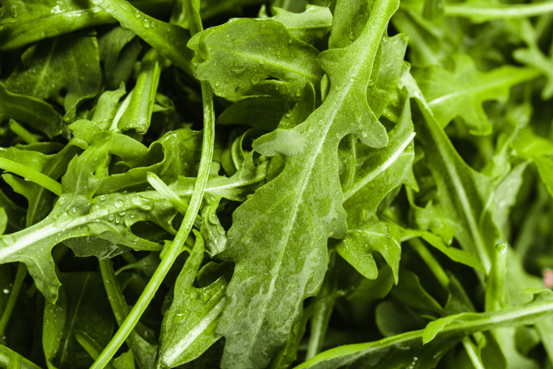 Culinary Inspiration: Get Rocket Arugula Seeds for Bold and Peppery Dishes