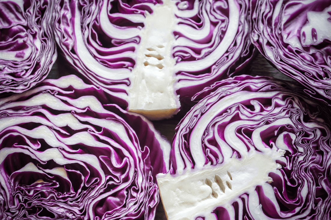 Start Your Garden with Red Cabbage Seeds | Enjoy Flavorful and Colorful Harvests