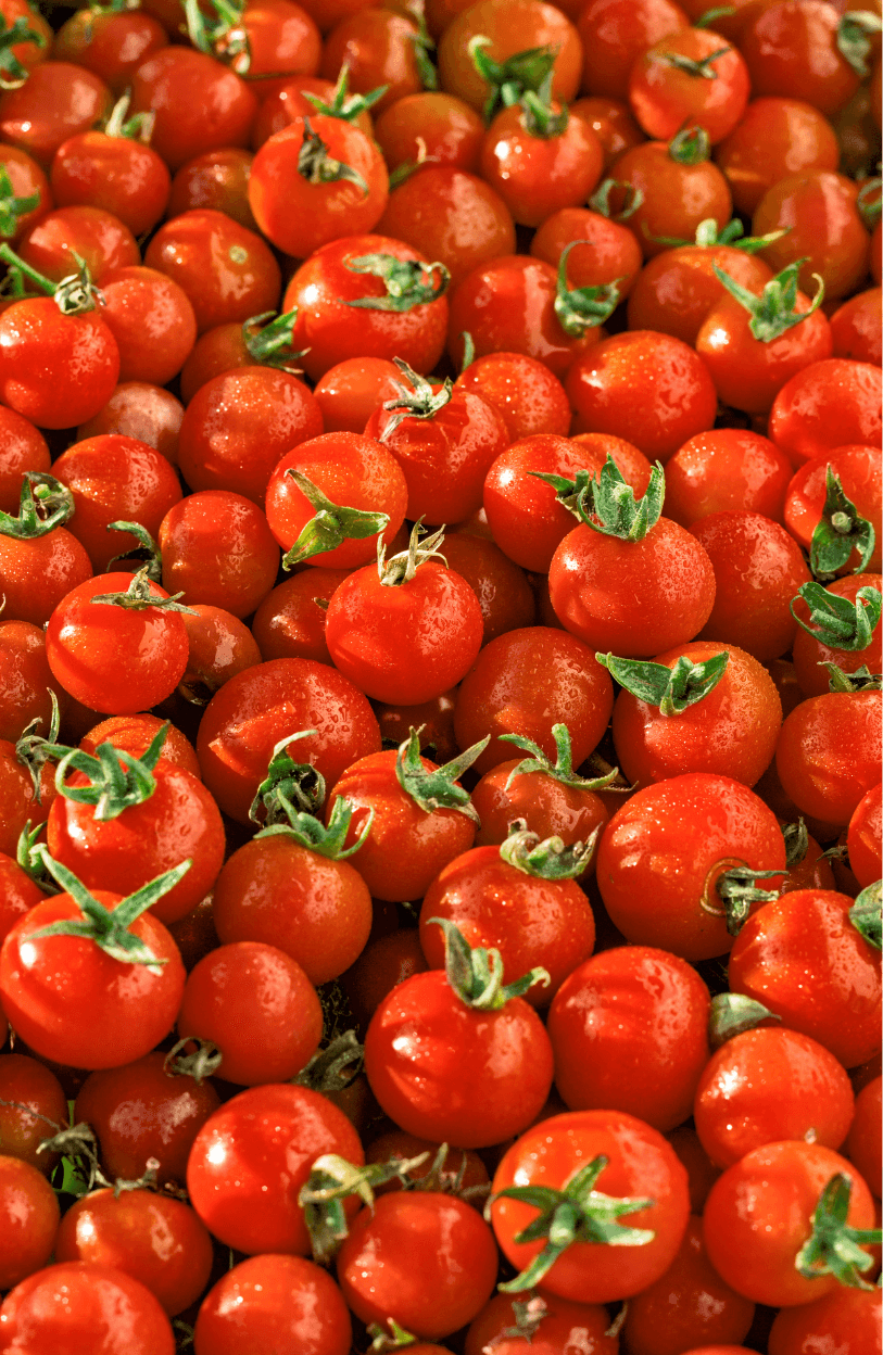 Shop Red Cherry Tomato Seeds - Grow Your Own Sweet Bites