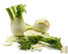 Florence Fennel Seeds - Create a garden filled with fresh and delightful fennel