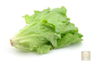 Indlæs billede i gallerifremviser, Italian LBuy High-Quality Italian Lettuce Seeds - Elevate Your Salad Gameettuce Seeds