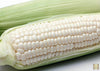 Explore a Variety of F1 Sweetcorn Seeds | White Lady Variety Available