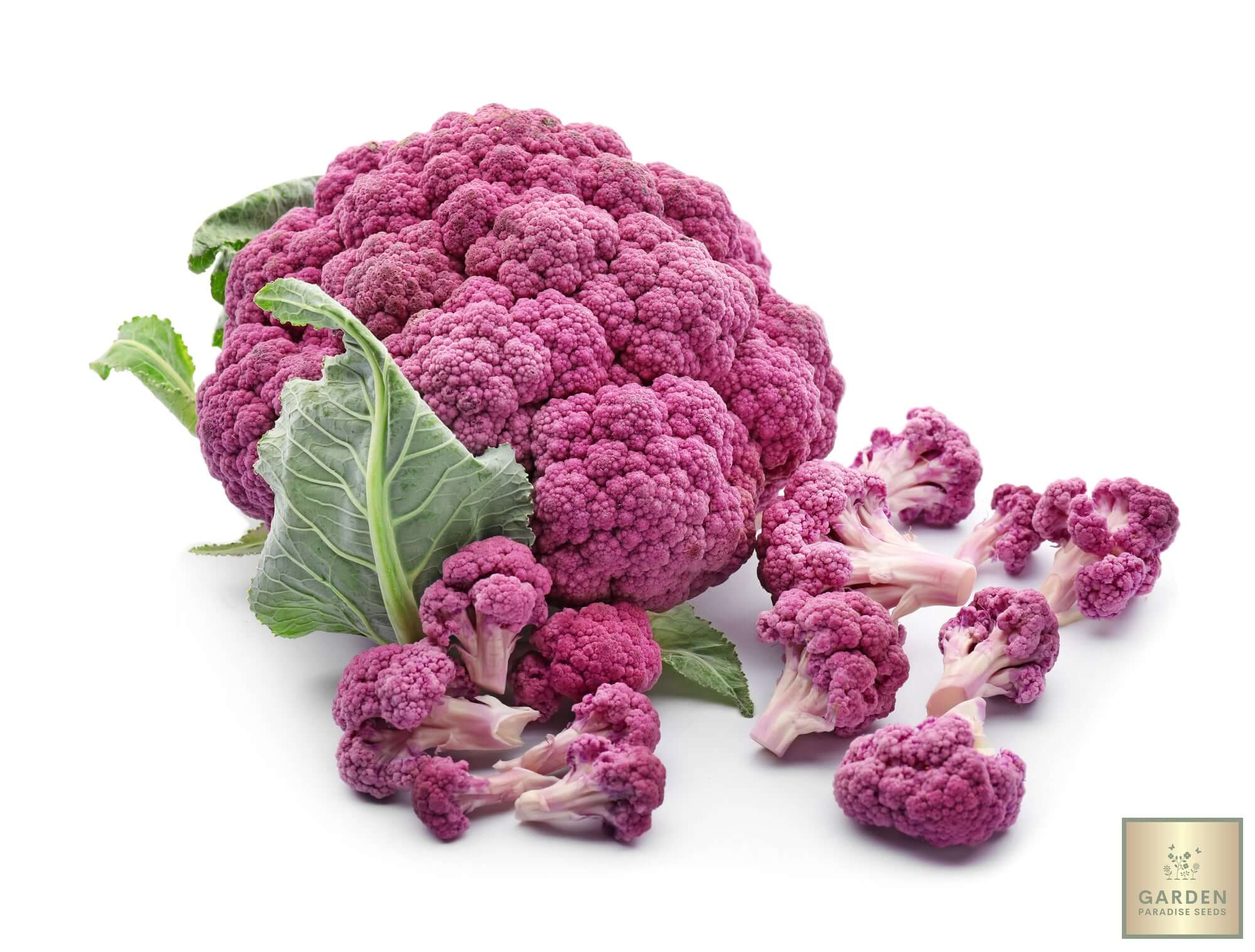 Shop Purple Cauliflower Seeds - Add a Pop of Purple to Your Veggie Patch