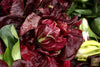 Plant Seeds Shop | Buy Purple Romaine Lettuce Seeds - Cultivation