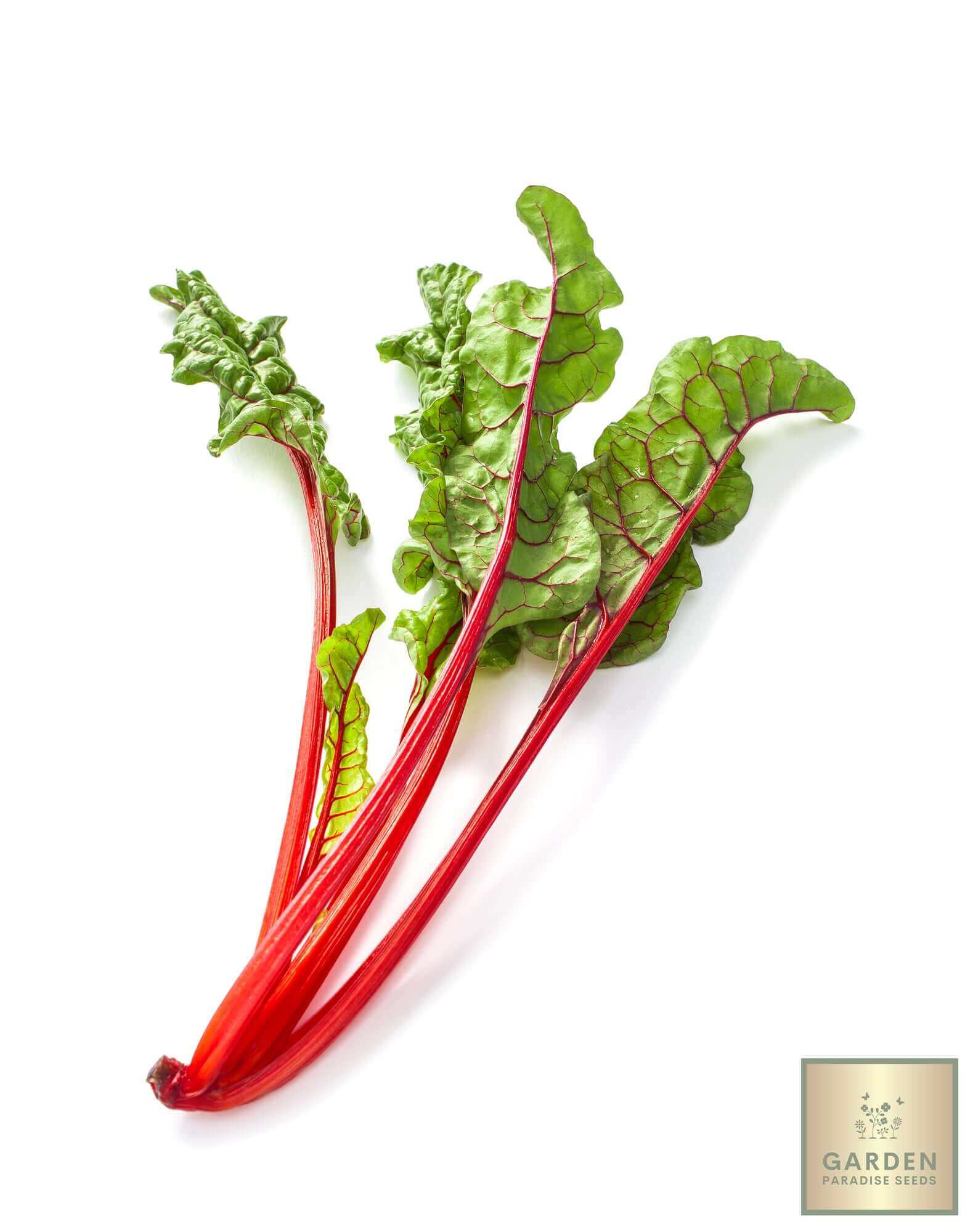 Enhance Your Garden Palette: Buy Red Swiss Chard Seeds Online