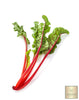 Lataa kuva gallerian katseluohjelmaan, Enhance Your Garden Palette: Buy Red Swiss Chard Seeds Online