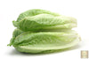 Indlæs billede i gallerifremviser, Crisp &amp; Fresh Green Romaine Lettuce Seeds - Grow flavorful and nutritious lettuce in your garden