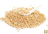 Start Your Soybean Journey: Get Premium Seeds for Abundant Yields