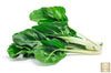 Crisp and Colorful: Purchase White Swiss Chard Seeds for Vibrant Gardens