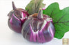 Buy  Aubergine Violetta Di Firenze  Seeds - Add Delicate Purple Beauty to Your Garden