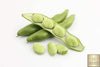 Shop for Masterpiece Green Broad Bean Seeds - Add Color and Flavor to Your Garden