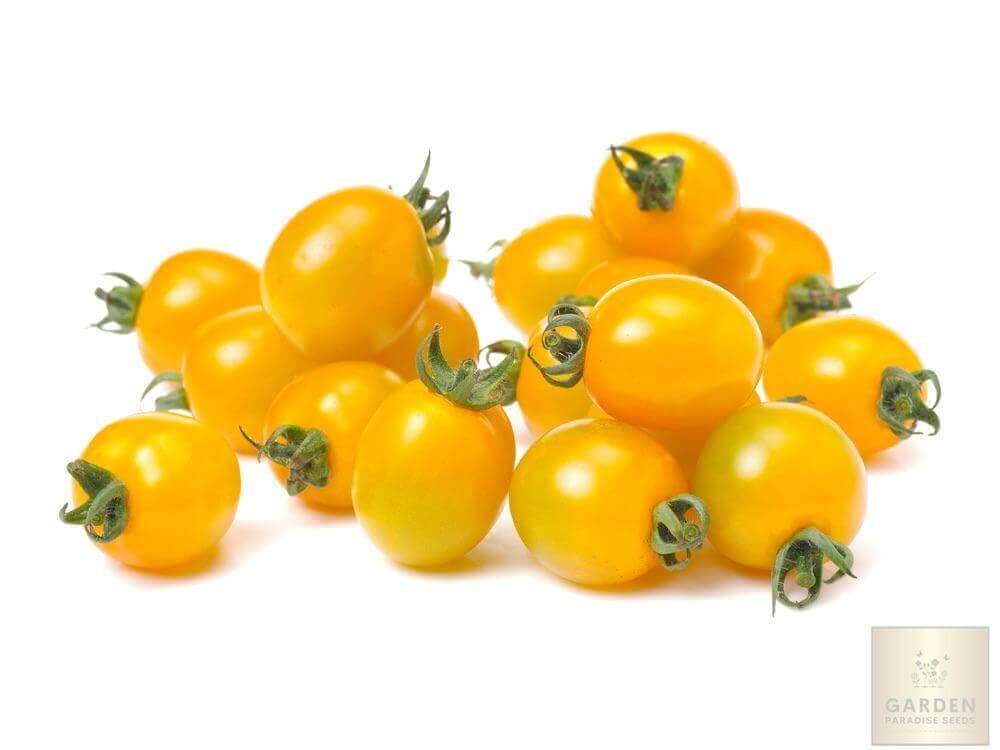 Shop for Yellow Cherry Tomato Seeds - Add a Pop of Color to Your Salads and Snacks