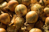 Seeds Shop | Buy Organic F1 Yellow Onion Seeds - Vegetable Seeds