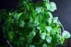 Buy High-Quality Green Mint Seeds - Enhance Your Culinary Adventures