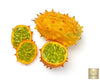 Order Now: Kiwano Fruit Seeds for a Unique and Refreshing Experience