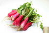 Afbeelding laden in galerijviewer, French Breakfast Radish Seeds - Grow crisp and vibrant radishes in your garden