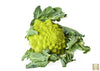 Indlæs billede i gallerifremviser, Elevate Your Garden Aesthetics: Buy Romanesco Cauliflower Seeds Online